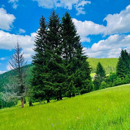 Gorska Cisza - Duzy, Komfortowy, Wyjatkowy Apartament Stronie Slaskie Bagian luar foto
