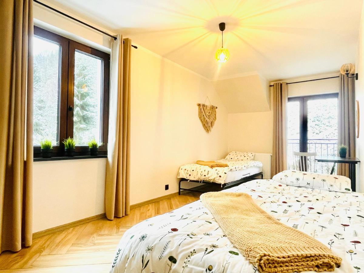 Gorska Cisza - Duzy, Komfortowy, Wyjatkowy Apartament Stronie Slaskie Bagian luar foto