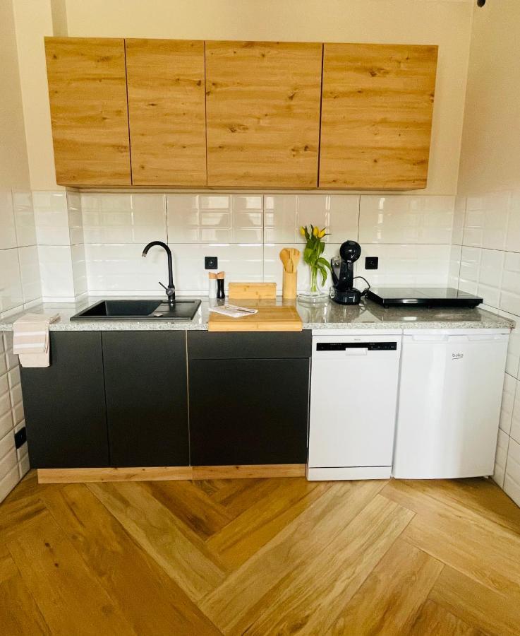 Gorska Cisza - Duzy, Komfortowy, Wyjatkowy Apartament Stronie Slaskie Bagian luar foto