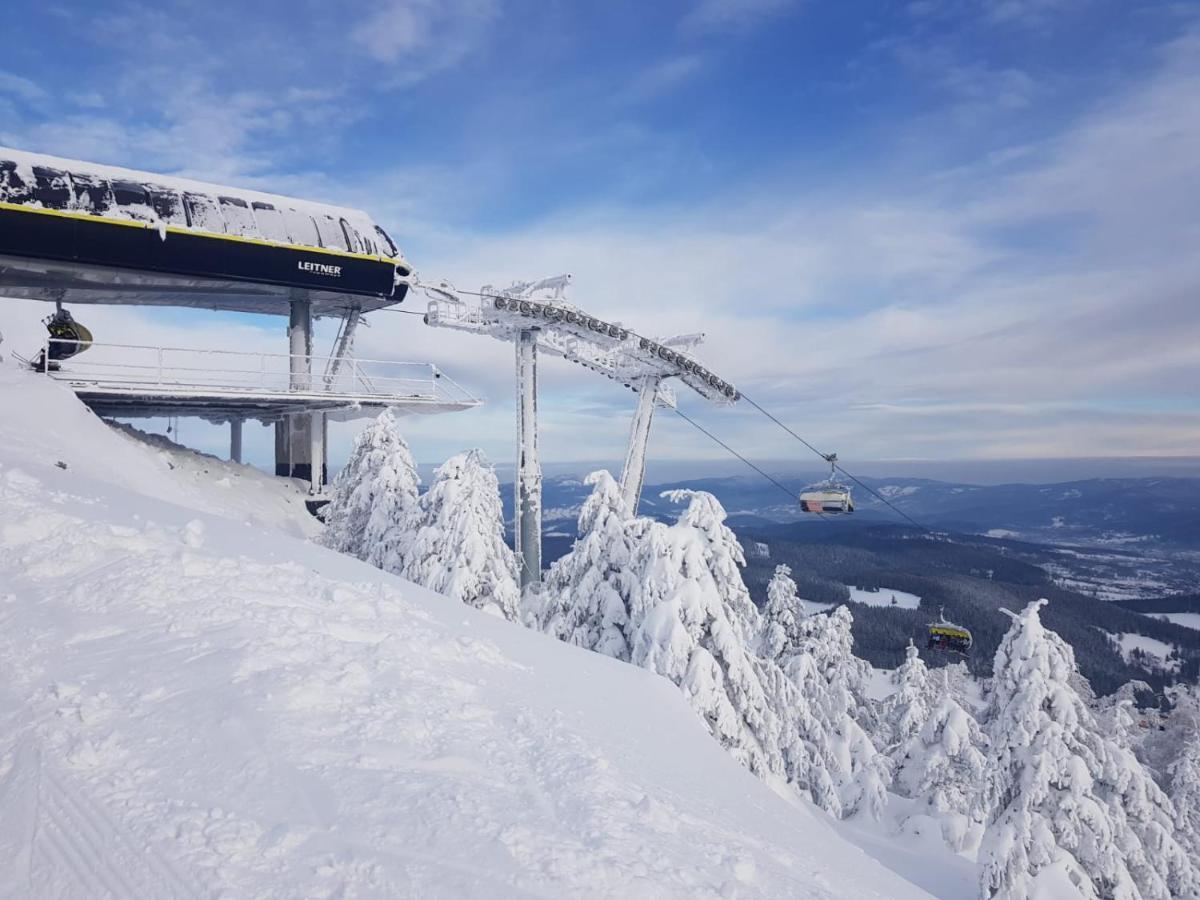 Gorska Cisza - Duzy, Komfortowy, Wyjatkowy Apartament Stronie Slaskie Bagian luar foto