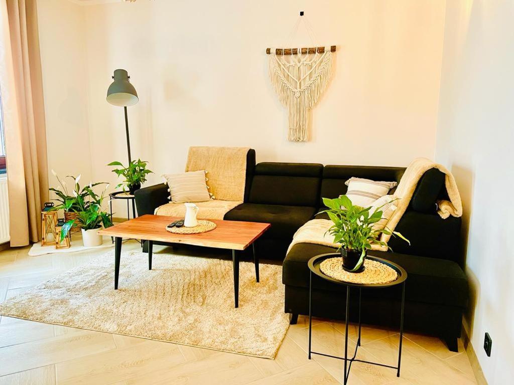 Gorska Cisza - Duzy, Komfortowy, Wyjatkowy Apartament Stronie Slaskie Bagian luar foto