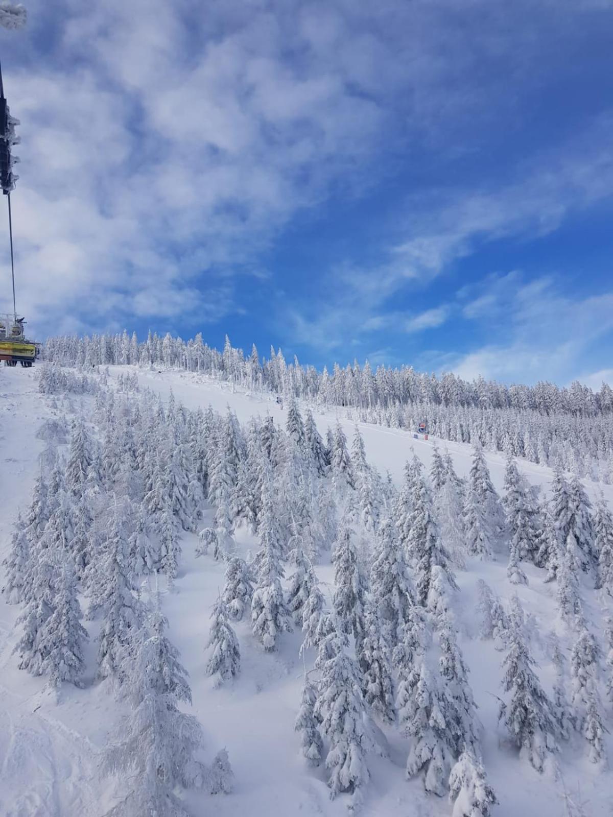 Gorska Cisza - Duzy, Komfortowy, Wyjatkowy Apartament Stronie Slaskie Bagian luar foto