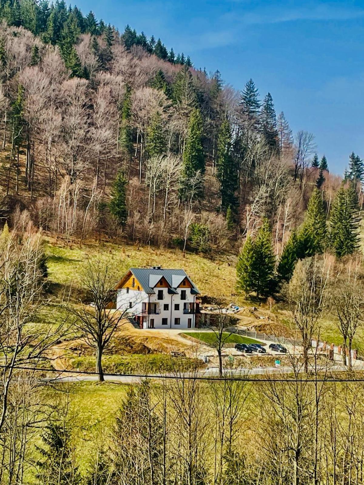 Gorska Cisza - Duzy, Komfortowy, Wyjatkowy Apartament Stronie Slaskie Bagian luar foto