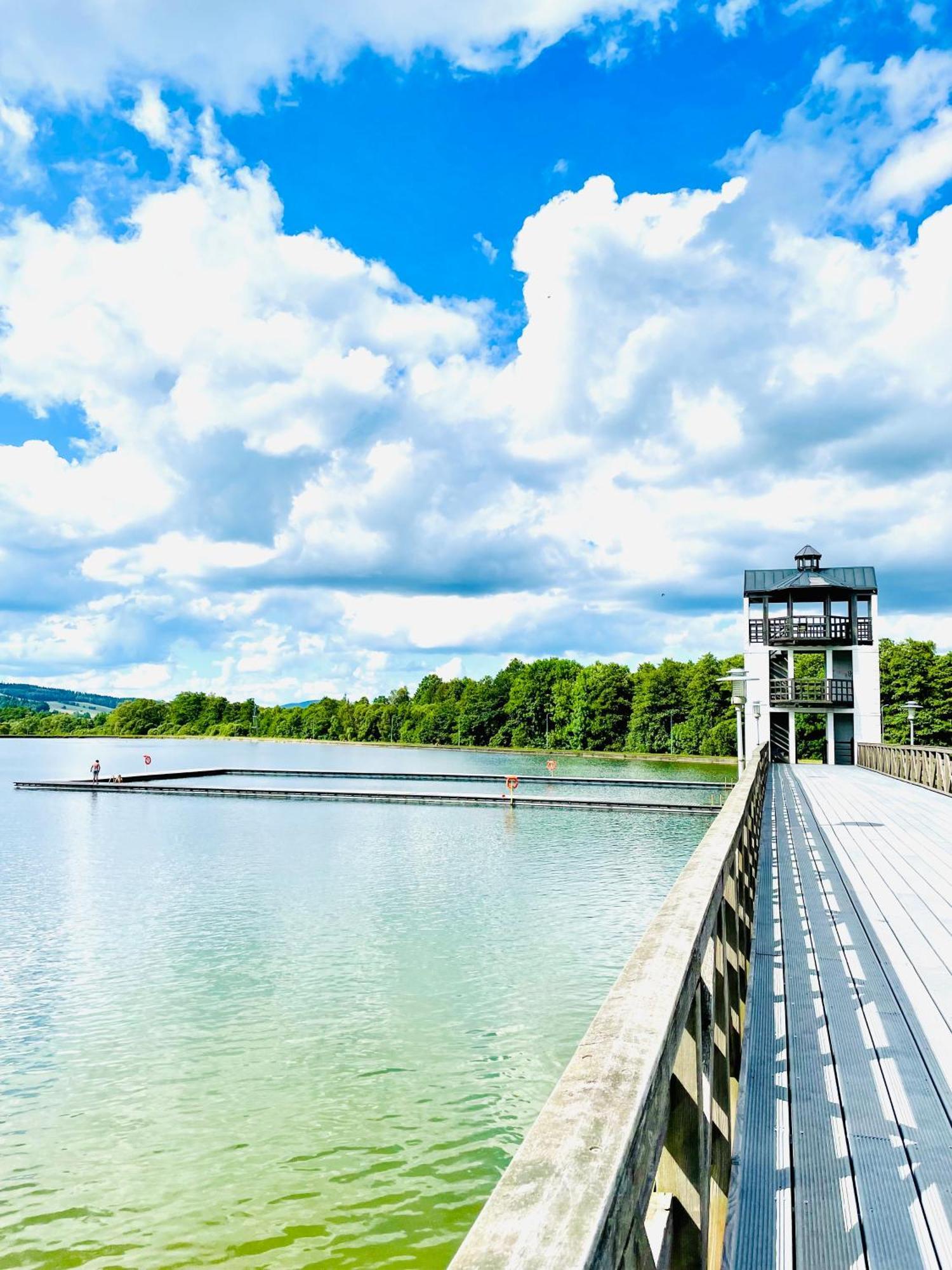 Gorska Cisza - Duzy, Komfortowy, Wyjatkowy Apartament Stronie Slaskie Bagian luar foto