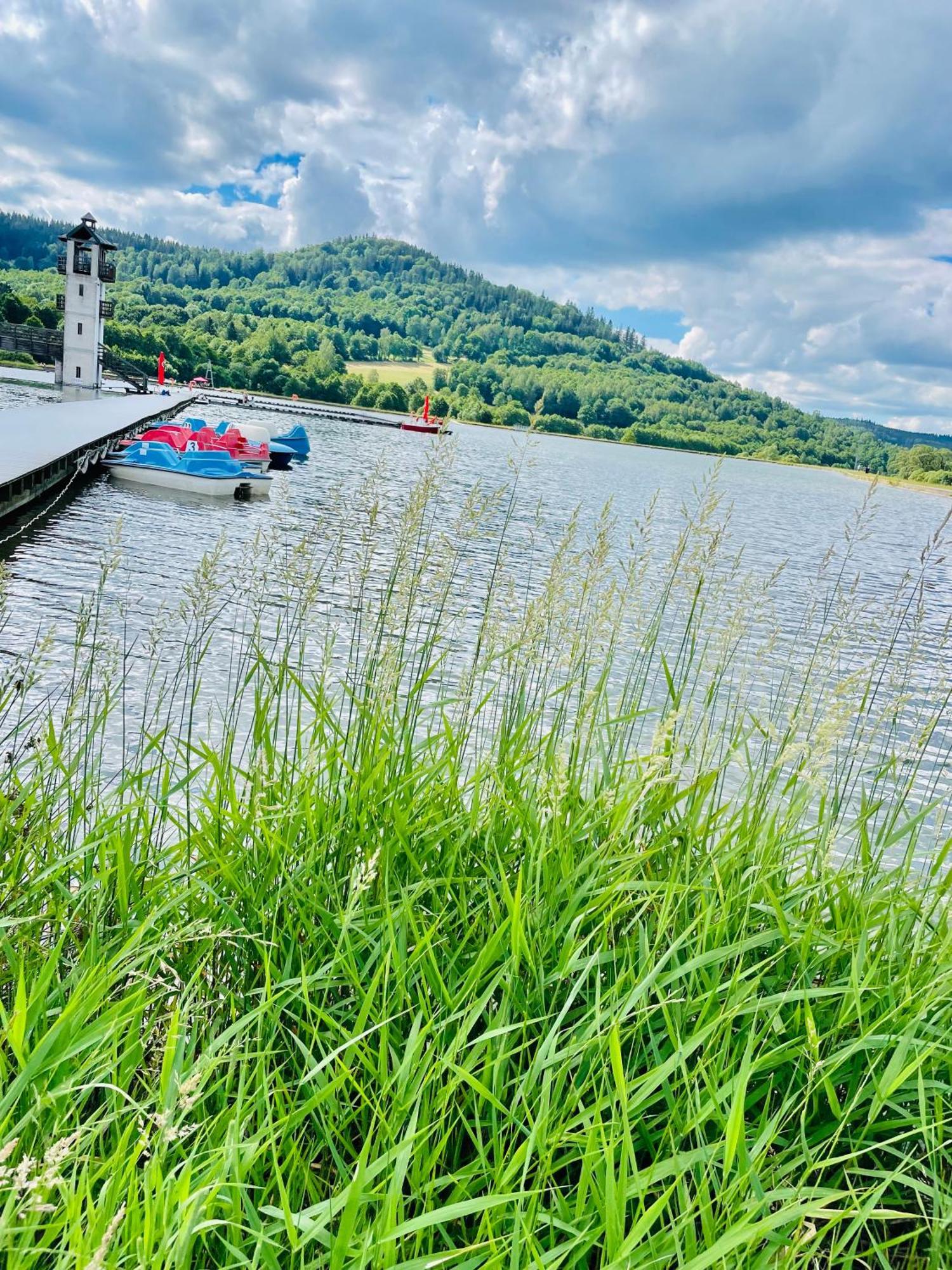 Gorska Cisza - Duzy, Komfortowy, Wyjatkowy Apartament Stronie Slaskie Bagian luar foto
