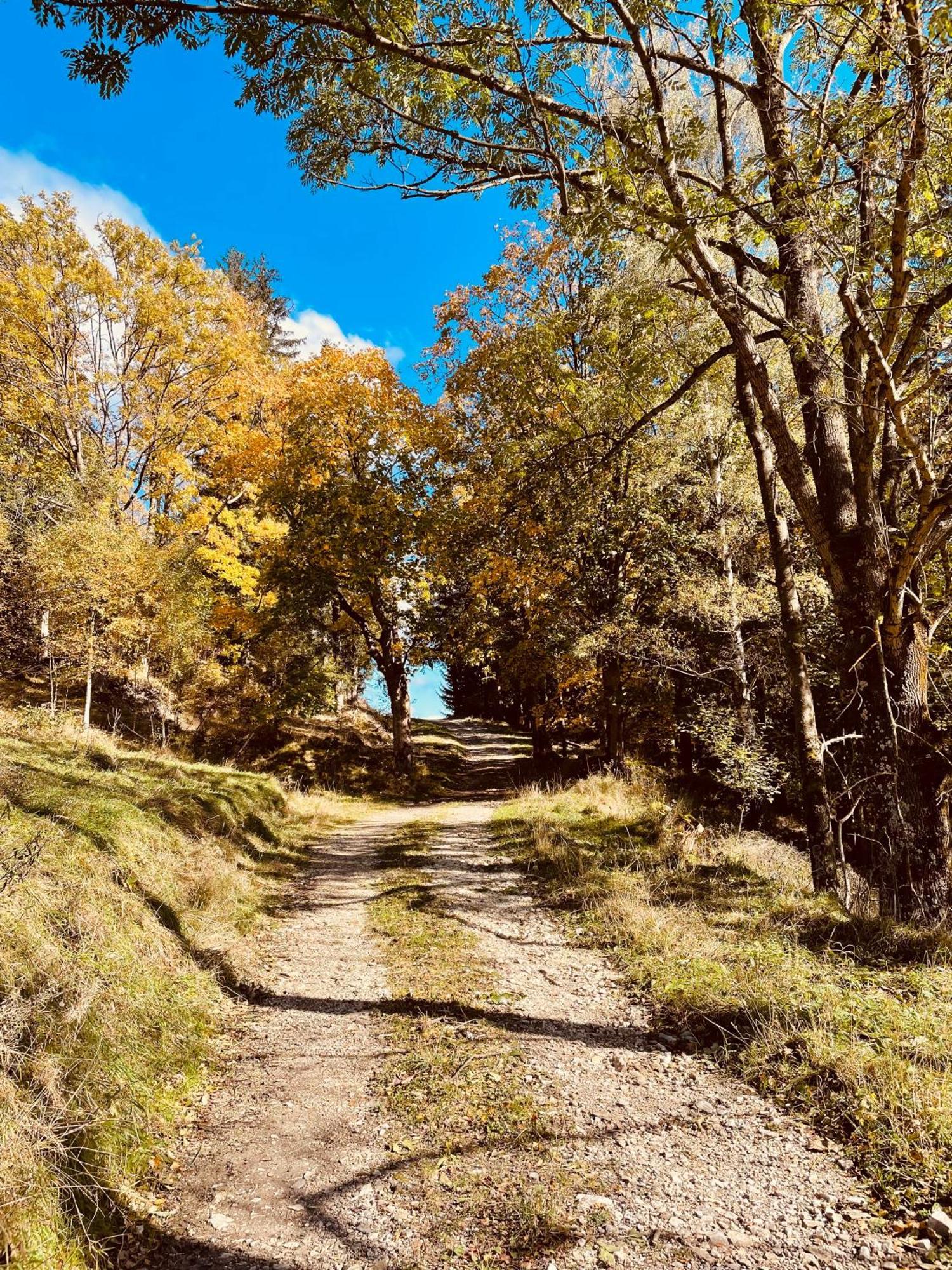 Gorska Cisza - Duzy, Komfortowy, Wyjatkowy Apartament Stronie Slaskie Bagian luar foto