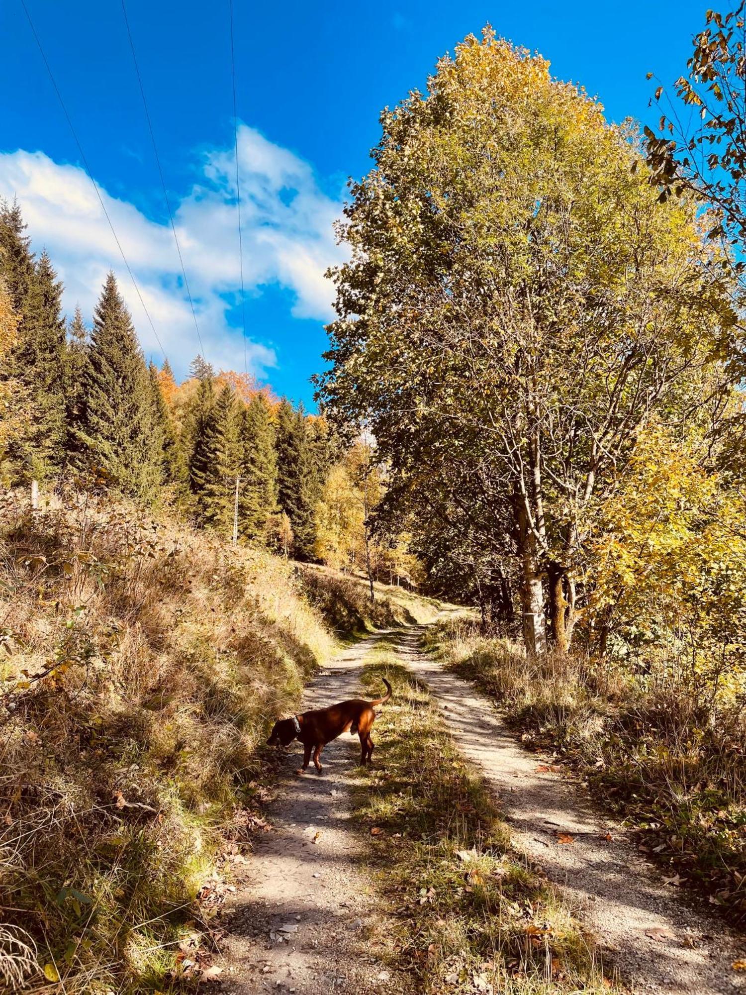 Gorska Cisza - Duzy, Komfortowy, Wyjatkowy Apartament Stronie Slaskie Bagian luar foto