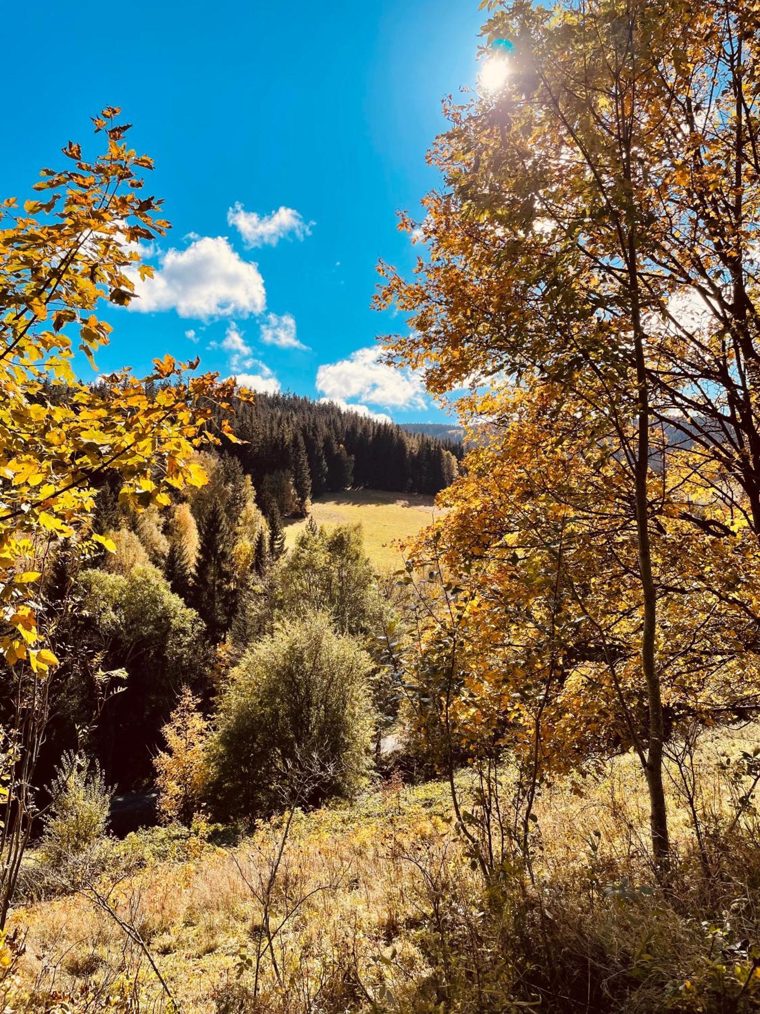 Gorska Cisza - Duzy, Komfortowy, Wyjatkowy Apartament Stronie Slaskie Bagian luar foto